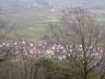 Eschbach87.jpg