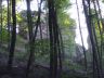 Felsen15a.jpg